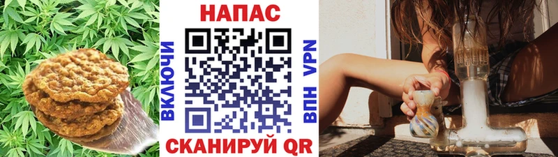 Cannafood марихуана  hydra зеркало  Новоалександровск 