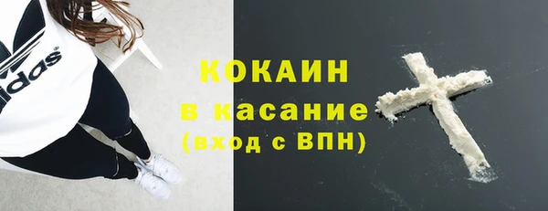 мяу мяу мука Аркадак