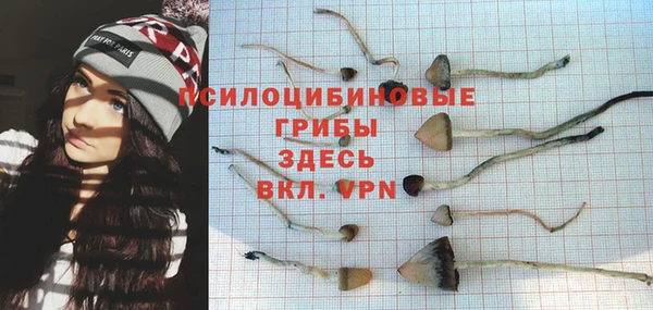 мяу мяу мука Аркадак