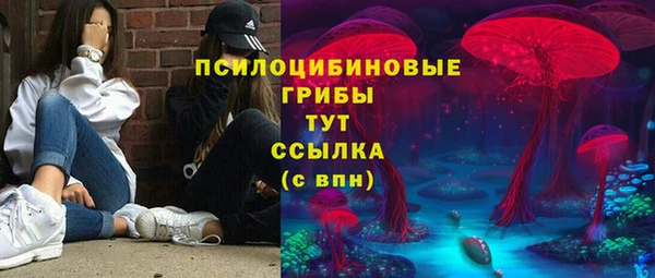 мяу мяу мука Аркадак