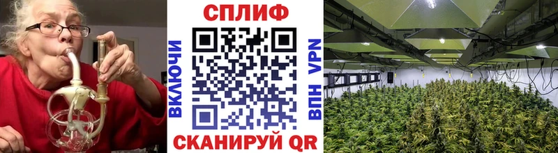 Конопля семена  Новоалександровск 